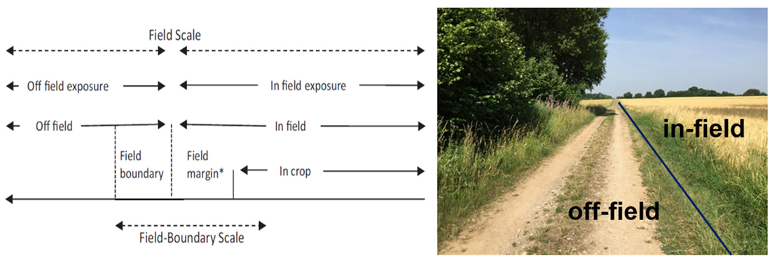 Illustration of Off-Field-Soil definition